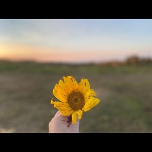 Meet your Posher, Erin